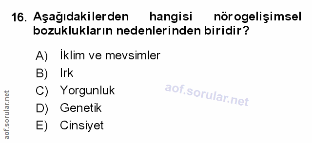 Soru 16