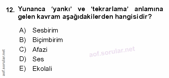 Soru 12