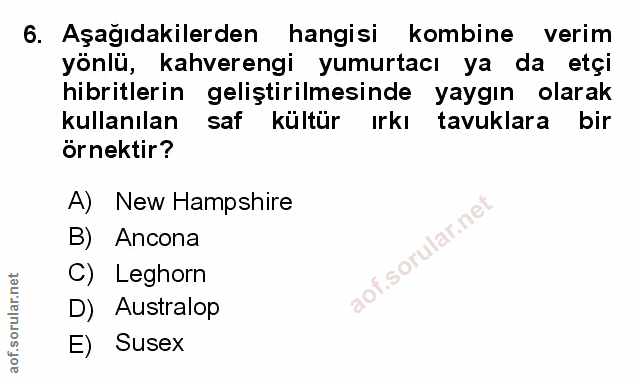 Soru 6