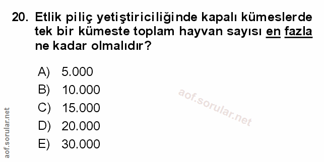 Soru 20