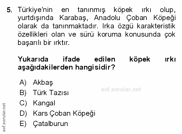 Soru 5