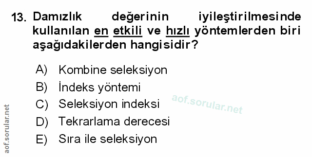 Soru 13