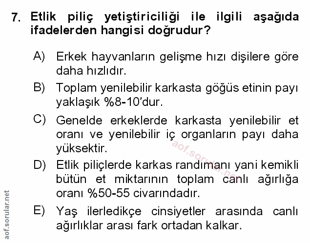 Soru 7
