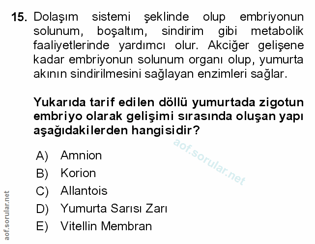 Soru 15