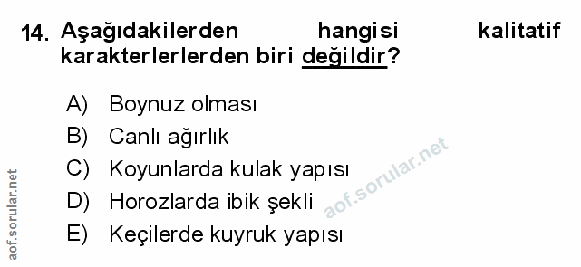 Soru 14