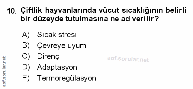 Soru 10