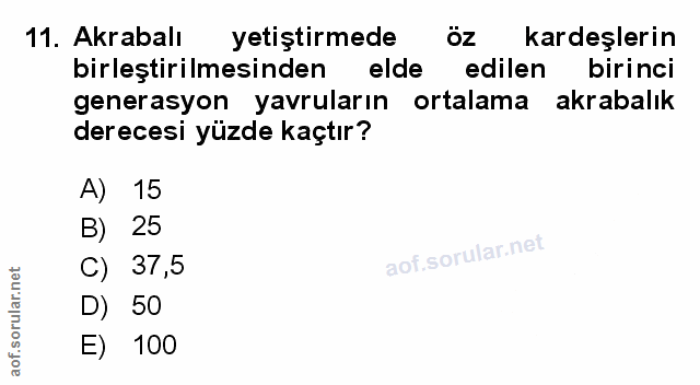Soru 11
