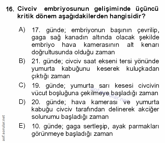 Soru 16