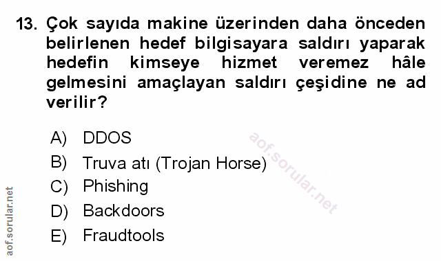 Soru 13