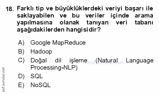 Soru 18
