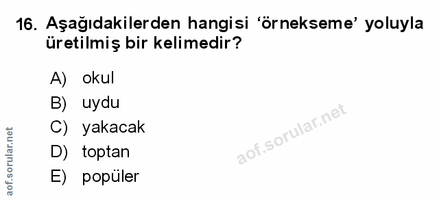 Soru 16