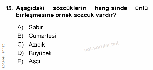 Soru 15
