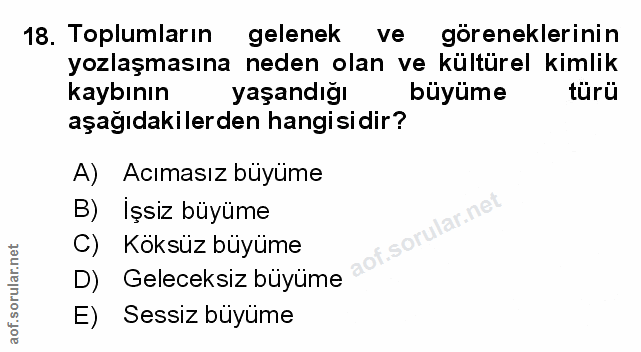 Soru 18