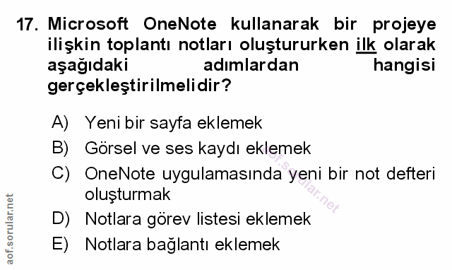 Soru 17