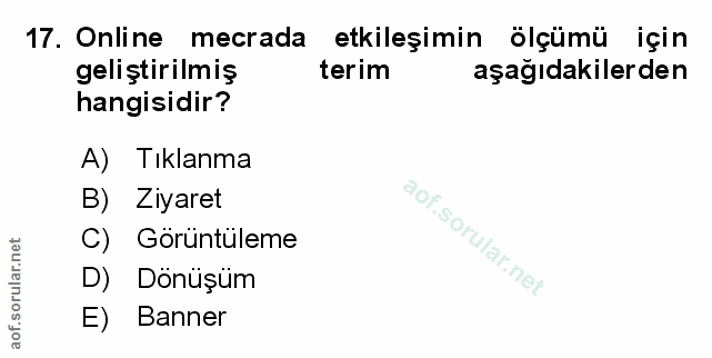 Soru 17
