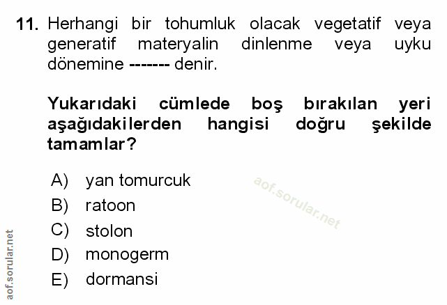 Soru 11