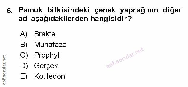 Soru 6