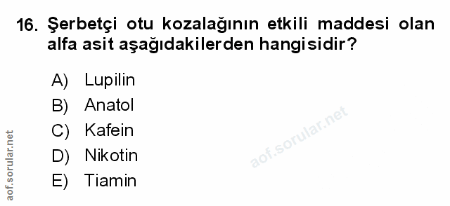Soru 16