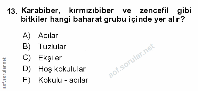 Soru 13