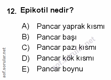 Soru 12