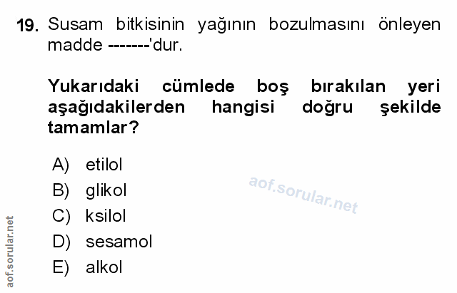 Soru 19