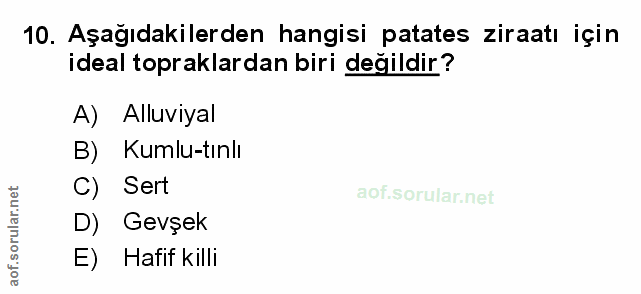 Soru 10
