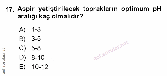 Soru 17