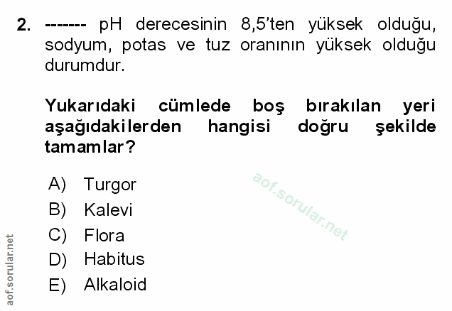 Soru 2