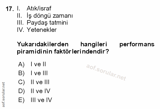 Soru 17