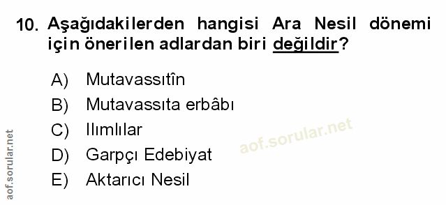 Soru 10