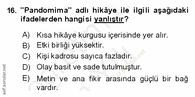 Soru 16