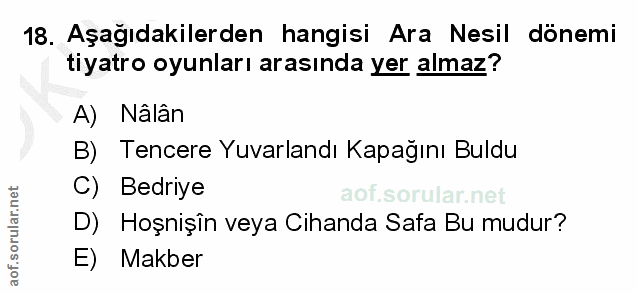 Soru 18