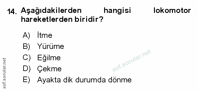 Soru 14