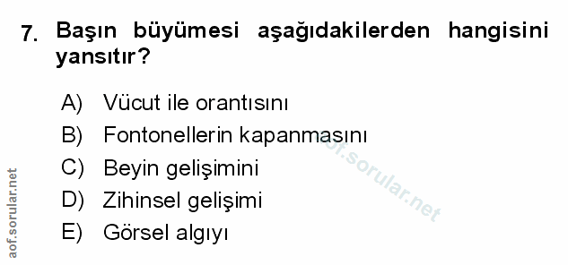 Soru 7