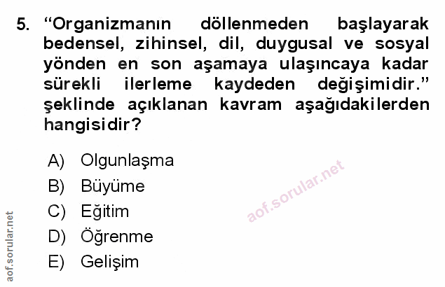Soru 5