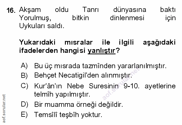 Soru 16