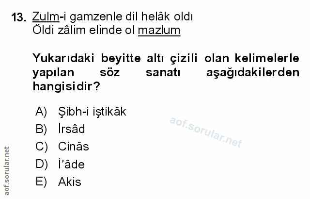 Soru 13
