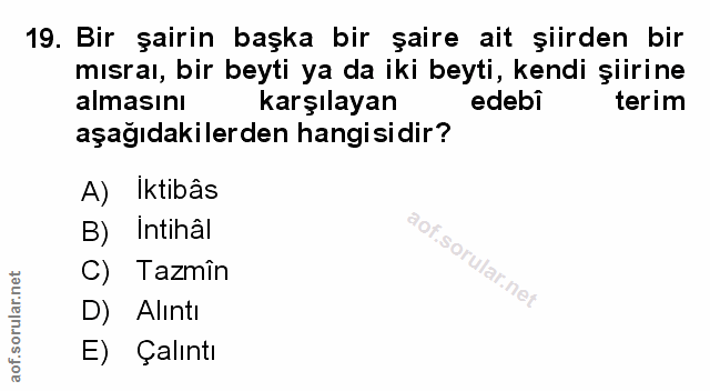 Soru 19