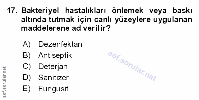Soru 17