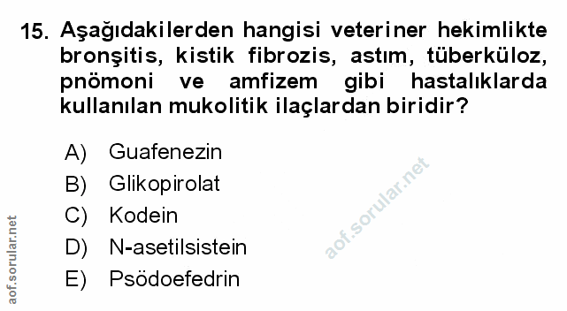 Soru 15