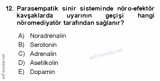 Soru 12