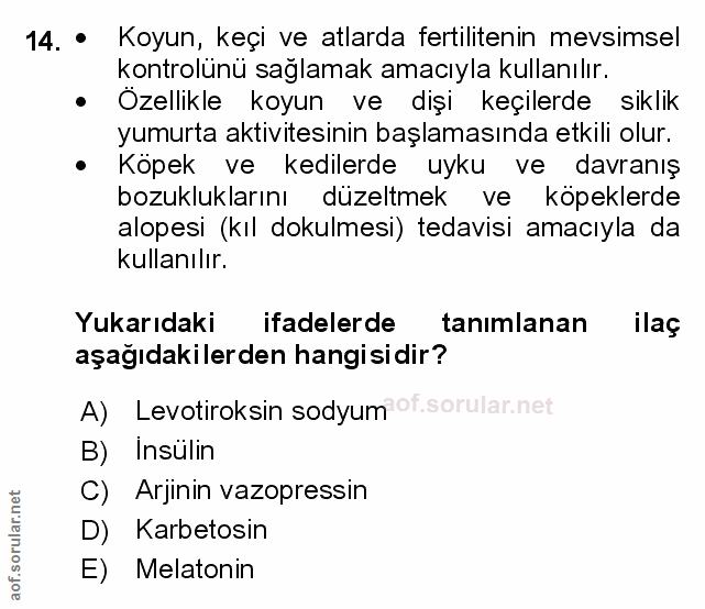 Soru 14
