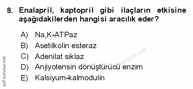 Soru 8
