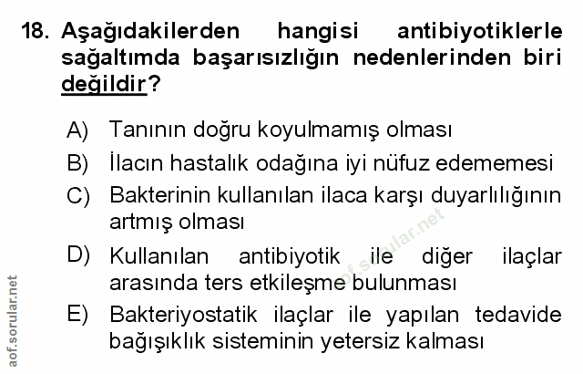 Soru 18