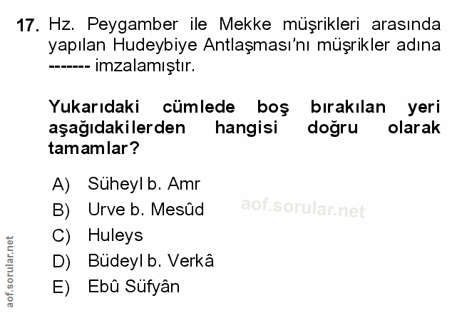 Soru 17