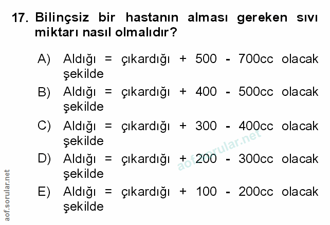 Soru 17