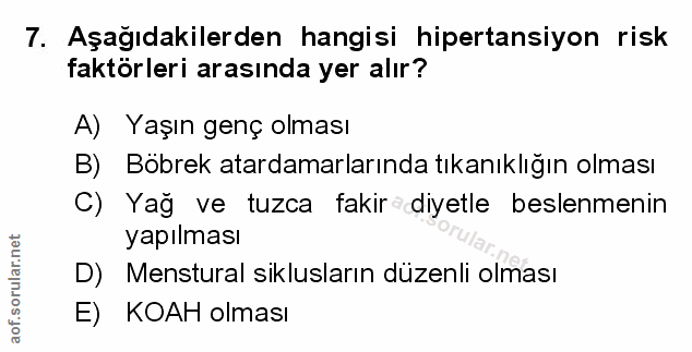 Soru 7