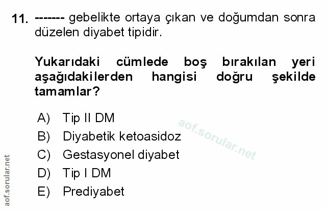 Soru 11