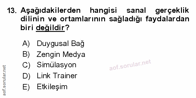 Soru 13