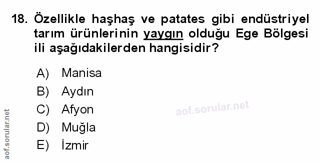 Soru 18